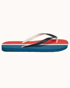 Haston Stripe- Online