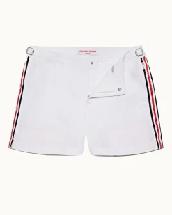 Setter- Sale