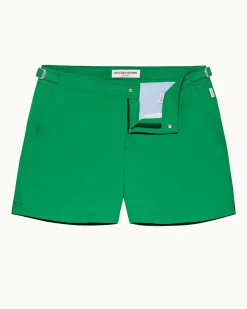 Setter- Sale