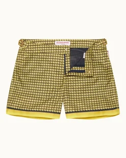 Setter-