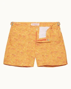 Setter- Discount