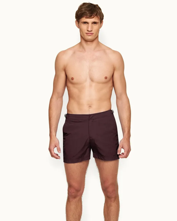 Setter- Sale