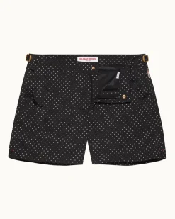 Setter- New